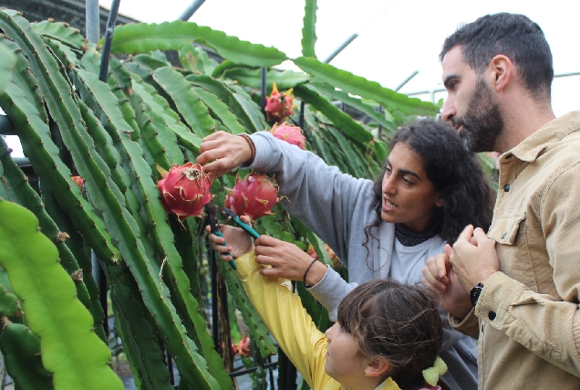 CEIP San Cosme de Barreiros visitaron Tropic Gaia co programa “Da Escola á Granxa”