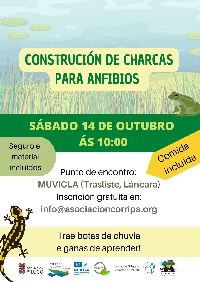 construción charcas para anfibios Lancara