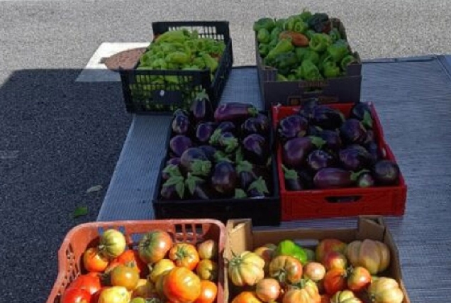 produtos de horta alimentos