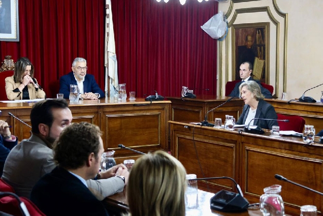 PLENO OBRAS CONCELLO DE LUGO