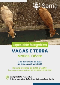 exposición foto vacas Sarria