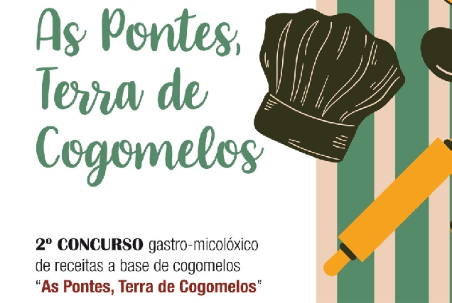 concurso-as-pontes-terra-de-cogomelos-portada