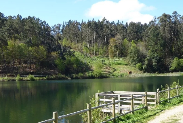 Imaxe do embalse de Beche en Abegondo