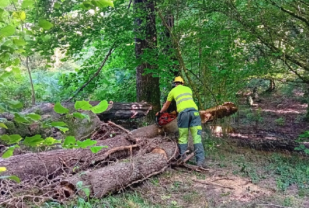 A CHMS traballa na conservación dos leitos dos ríos da provincia de Ourense