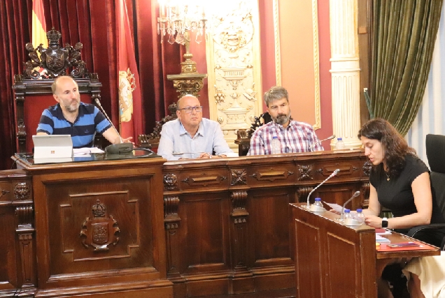 Pleno do Concello de Ourense