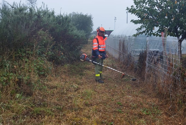 Brigada-Forestal-contra-incendios